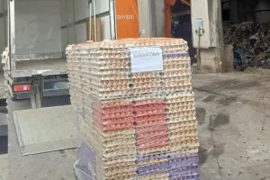 42 bin sahte organik etiketli yumurta imha edildi 9c18566c56 amp