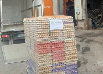 42 bin sahte organik etiketli yumurta imha edildi 9c18566c56 amp