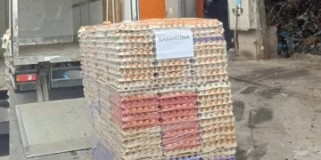 42 bin sahte organik etiketli yumurta imha edildi 9c18566c56 amp