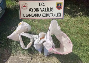 Germencik’te iğlek hızsızları yakalandı