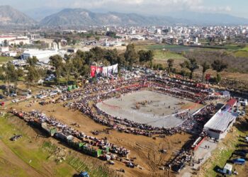 Yılın ilk deve güreşi İncirliova'da yapıldı