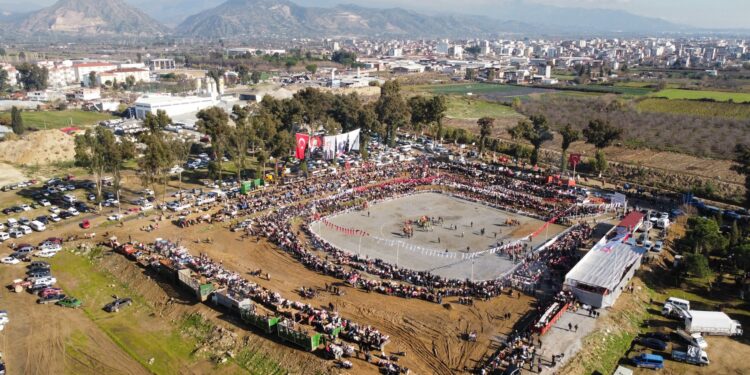 Yılın ilk deve güreşi İncirliova'da yapıldı