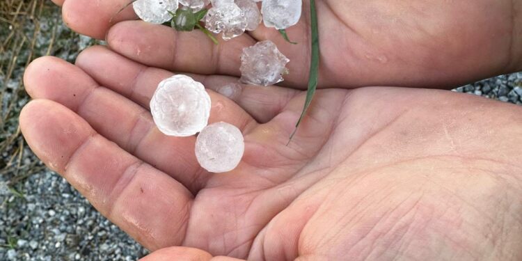 565940752 828938289882552 7460316730439703826 n