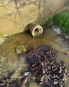 634393851 18555021340049446 6655942879061870039 n 634393851 18555021340049446 6655942879061870039 n