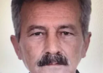 Mantar toplamaya gittiği ormanda kayboldu