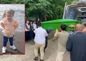 Böceğin ısırdığı Gökçe, öldü