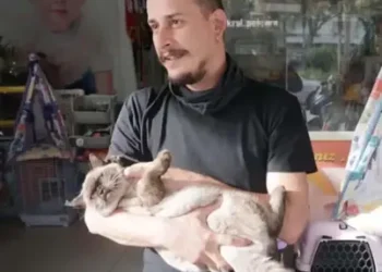 Nazilli’de petshop işletmecisi, evde ölü bulundu