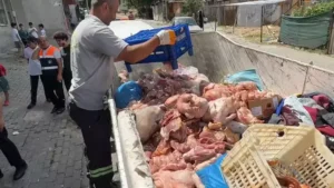 500 kilogram bozuk tavuk eti ele geçirildi