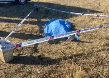 Arazide cesedi bulundu