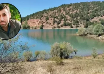 Boğulma tehlikesi geçiren 3 torununu kurtardı, kendisi boğuldu