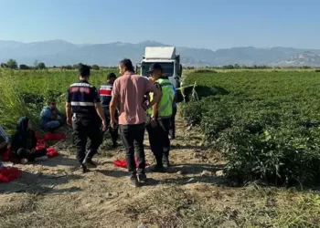 Tarlada yaşanan en acı olay