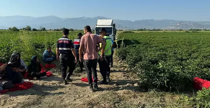 Tarlada yaşanan en acı olay