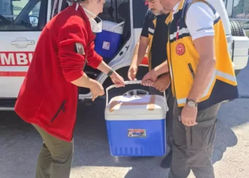 Duru bebeğin organları 4 çocuğa hayat verdi