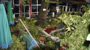 Çınar ağacı kahvehanede oturanların üzerine düştü