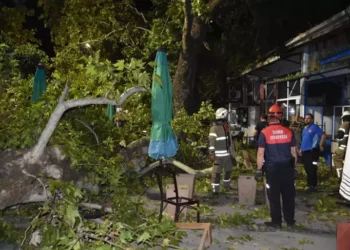 Çınar ağacı kahvehanede oturanların üzerine düştü