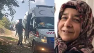 Patpat bahçeye devrildi