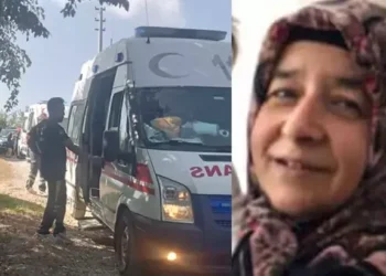 Patpat bahçeye devrildi