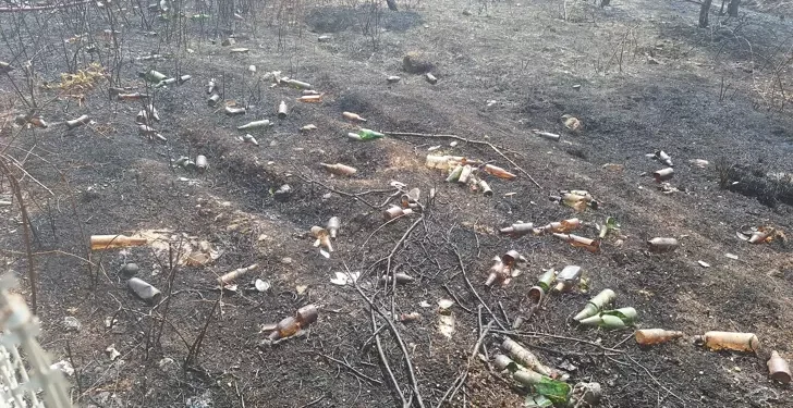 Çalılıklar yanınca onlarca içki şişesi ortaya çıktı