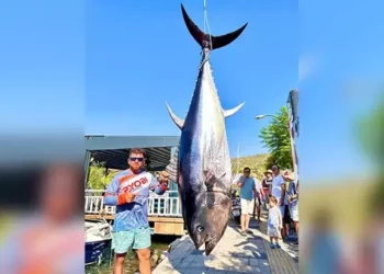 Balıkçılar, oltayla 317 kilogramlık orkinos yakaladı