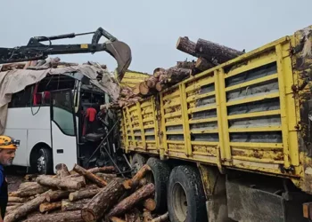 Tomruk yüklü kamyonla yolcu otobüsü çarpıştı