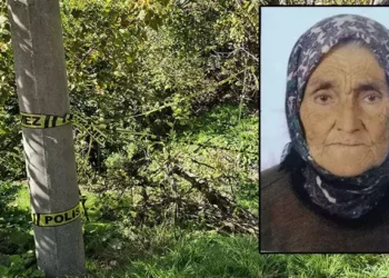 Kadını domuz sanıp, tüfekle vurdu