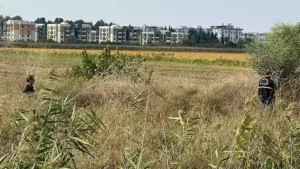 Sazlıkta cansız bedeni bulundu