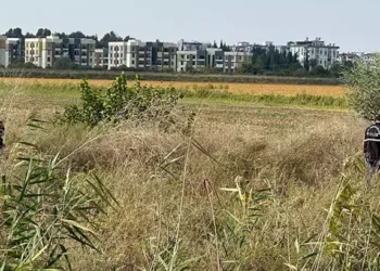 Sazlıkta cansız bedeni bulundu