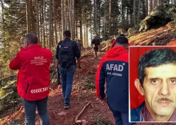 Ormana gidip, dönmeyen çiftin cansız bedenleri bulundu