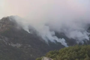 Denizli'deki orman yangını günlerdir söndürülemedi