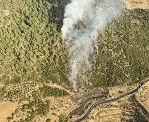Aydın’da orman yangını 5 saatte söndürüldü;
