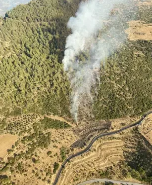Aydın’da orman yangını 5 saatte söndürüldü;