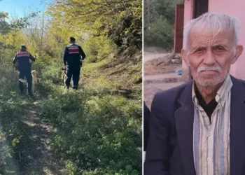Komşu ilçeye eşek satın almaya gitti, 10 gündür kayıp