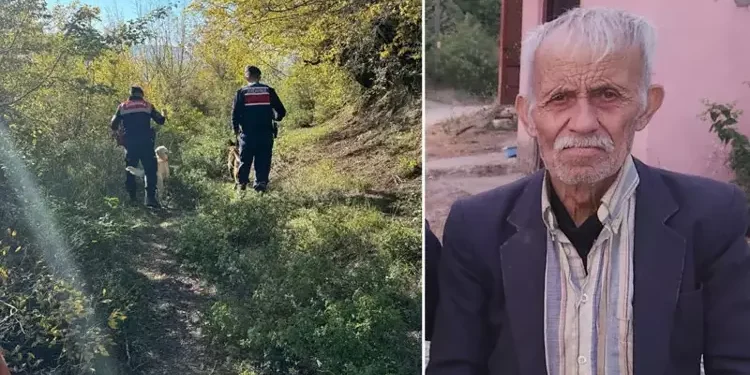 Komşu ilçeye eşek satın almaya gitti, 10 gündür kayıp