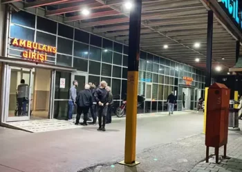 Sünnet düğününde tavuklu pilavdan zehirlendiler