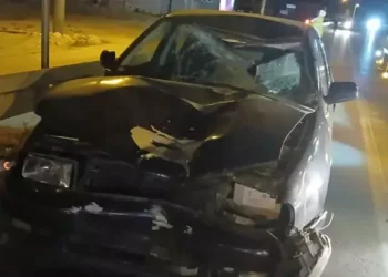 Otomobilin çarptığı güvenlik görevlisi hayatını kaybetti