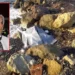 Evine dönmeyen kadının sahilde cesedi bulundu