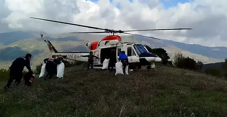 Ormanda 146 kilogram esrar ele geçirildi