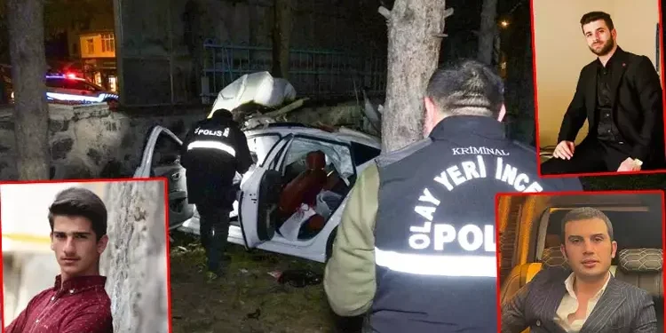 Refüje çarpan otomobil, hastane bahçesine düşüp alev aldı