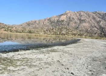 Bafa Gölü can çekişiyor