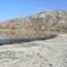 Bafa Gölü can çekişiyor