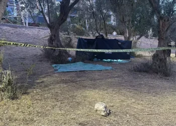 Zeytin toplamak için çıktığı ağaçtan düşüp öldü