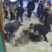 Ağabeyinin marketini benzin dökerek yaktı