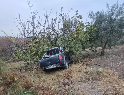 İşçileri taşıyan kamyonet ağaca çarptı: 1 ölü, 7 yaralandı