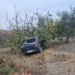 İşçileri taşıyan kamyonet ağaca çarptı: 1 ölü, 7 yaralandı