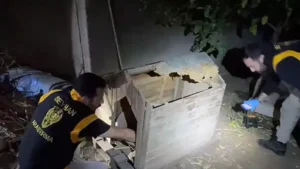 Bahçedeki köpek kulübesinde el bombası çıktı