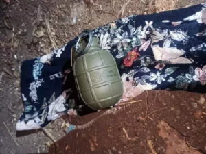 Bahçedeki köpek kulübesinde el bombası çıktı