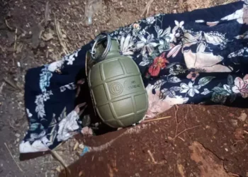 Bahçedeki köpek kulübesinde el bombası çıktı
