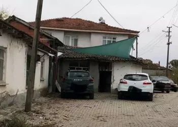 Kavgada ağabeyini öldürdü