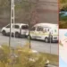 Okul servisinde önce sevgilisini sonra kendini öldürdü