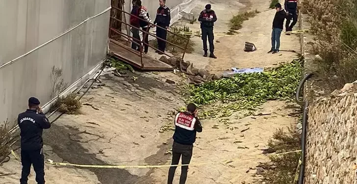 Muz serasında halat koptu 2 ölü, 2 yaralı